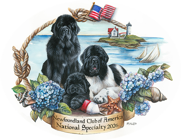 2026 NCA National Specialty Logo